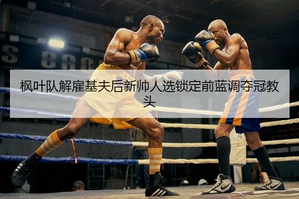 feng-ye-dui-jie-gu-ji-fu-hou-xin-shuai-ren-xuan-suo-ding-qian-lan-diao-duo-guan-jiao-tou-2-849.jpg